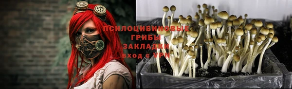 метамфетамин Аркадак