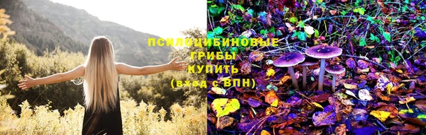 mdpv Армянск