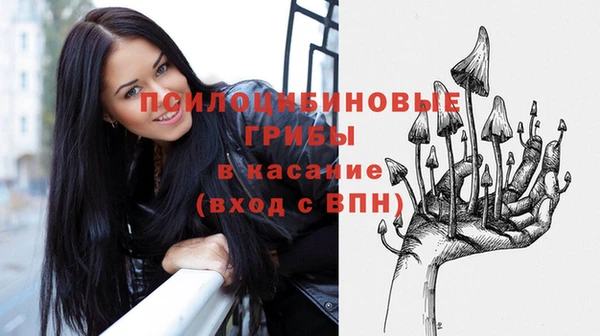 герыч Арсеньев